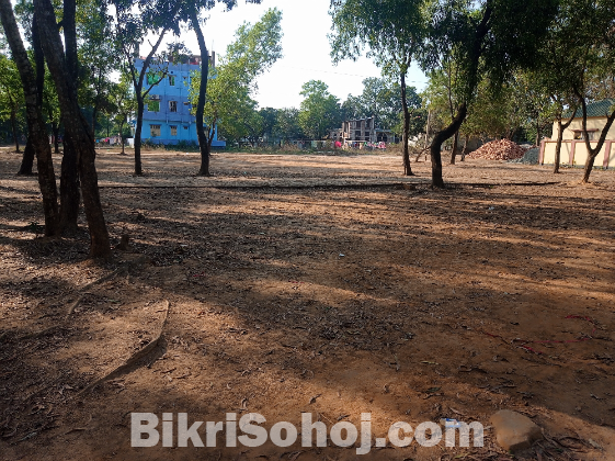 বিনয়ের জন্য সর্বশ্রেষ্ঠ জমি